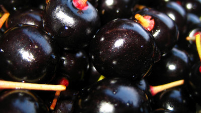 Black cherry